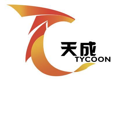  em>天成 /em>  em>tycoon /em>