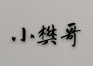 小樊哥商标注册申请申请/注册号:52145471申请日期:2020-12-14国际