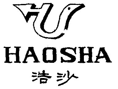  em>浩沙 /em>