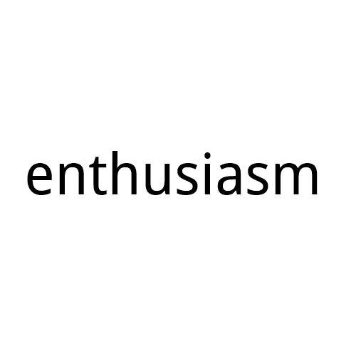  em>enthusiasm /em>