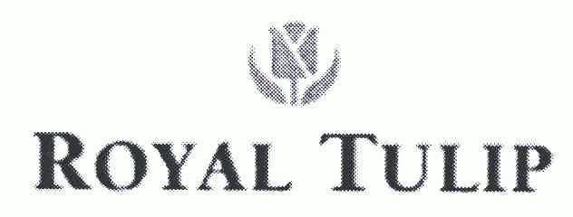  em>royal /em> em>tulip /em>