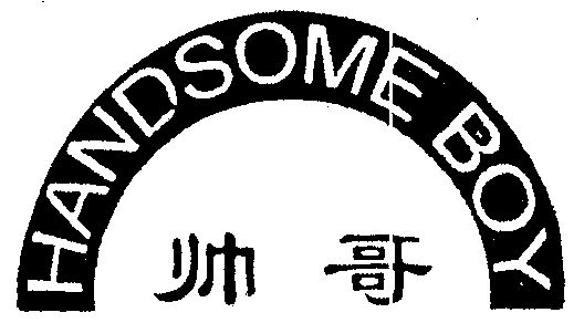  em>帅哥 /em> handsome boy