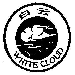 白云 white cloud                          