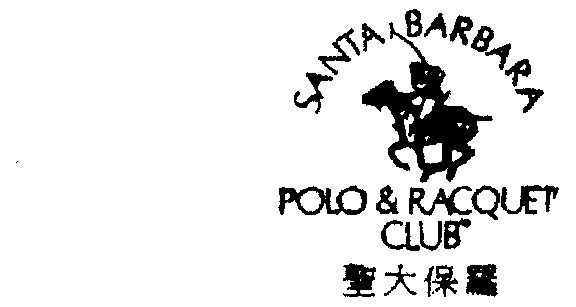 圣大保罗商标异议申请