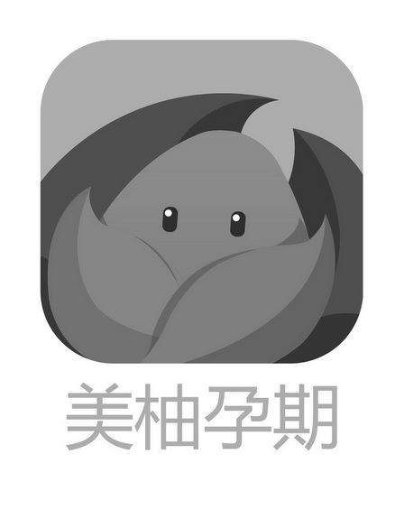 美柚孕期 - 商标 - 爱企查