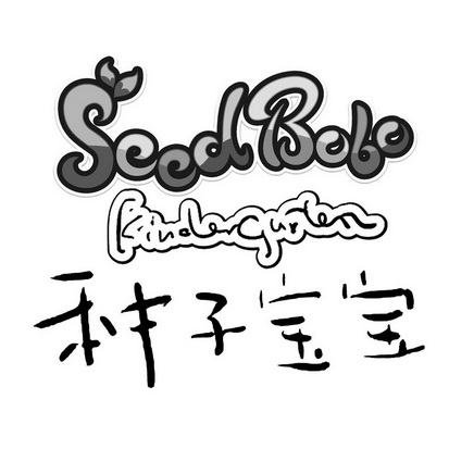 北京 种子 宝宝教育科技有限公司办理/代理机构:哈尔滨市椿炀商标设计