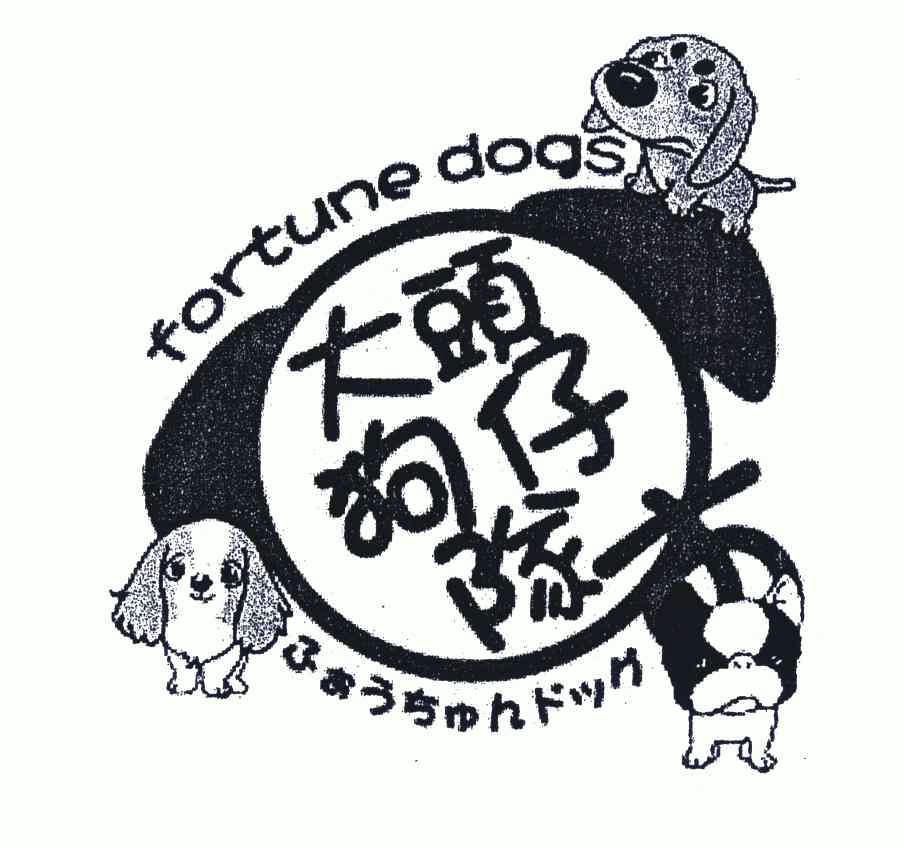 大头狗仔队; em>fortune /em> dogs