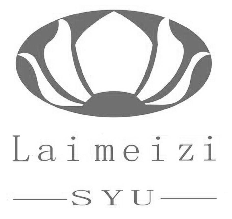 医疗器械商标申请人:莱美姿香港国际生物科技有限公司办理/代理机构