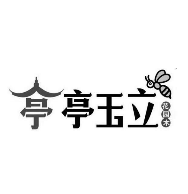 亭亭玉立 花园木                           