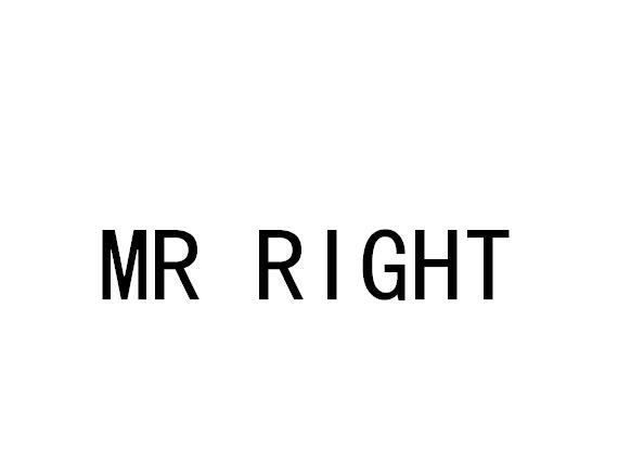 mrright - 企业商标大全 - 商标信息查询 - 爱企查