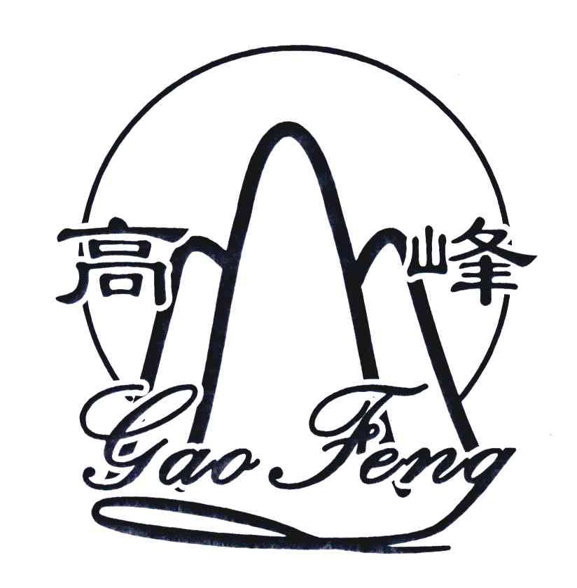高峰;gao feng