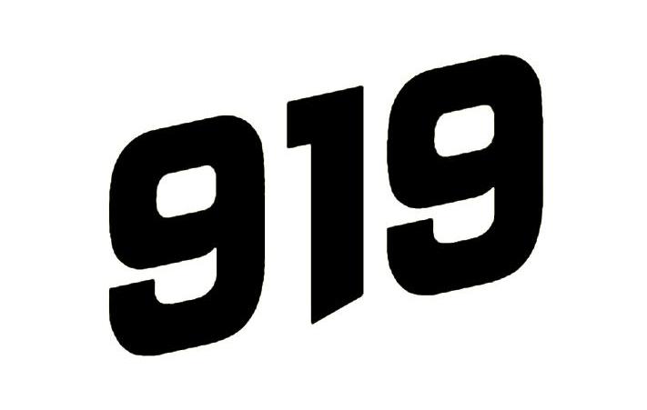  em>919 /em>