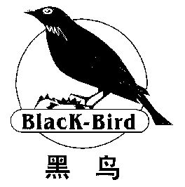 黑鸟头像图片