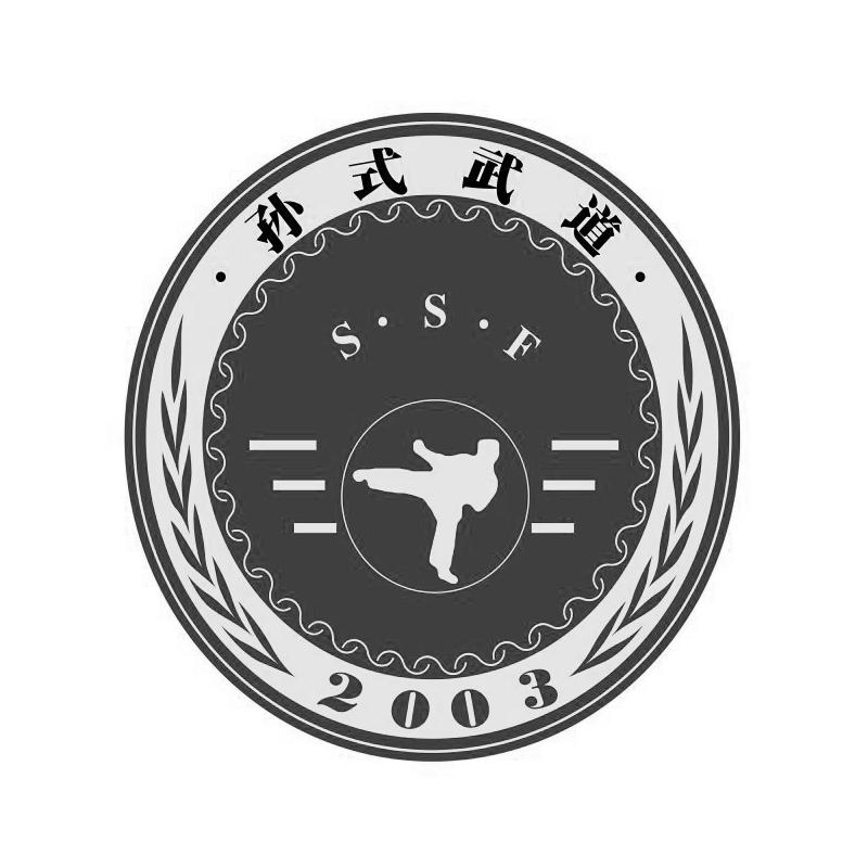 孙式武道 ssf 2003