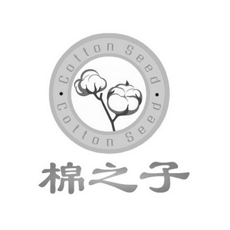  em>cotton /em> em>seed /em>棉之子