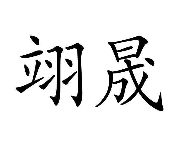 em>翊晟/em>