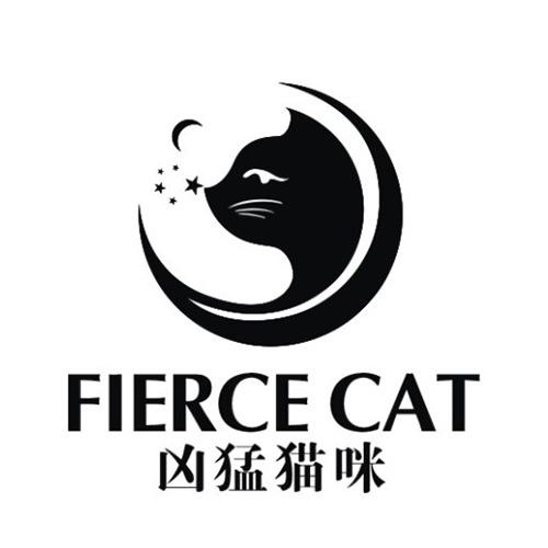  em>凶猛 /em> em>猫咪 /em>  em>fierce /em>  em>cat /em>