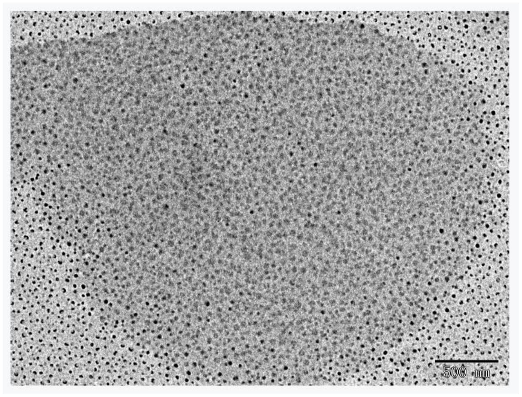 一种基于量子点荧光微球探针检测氯霉素的方法