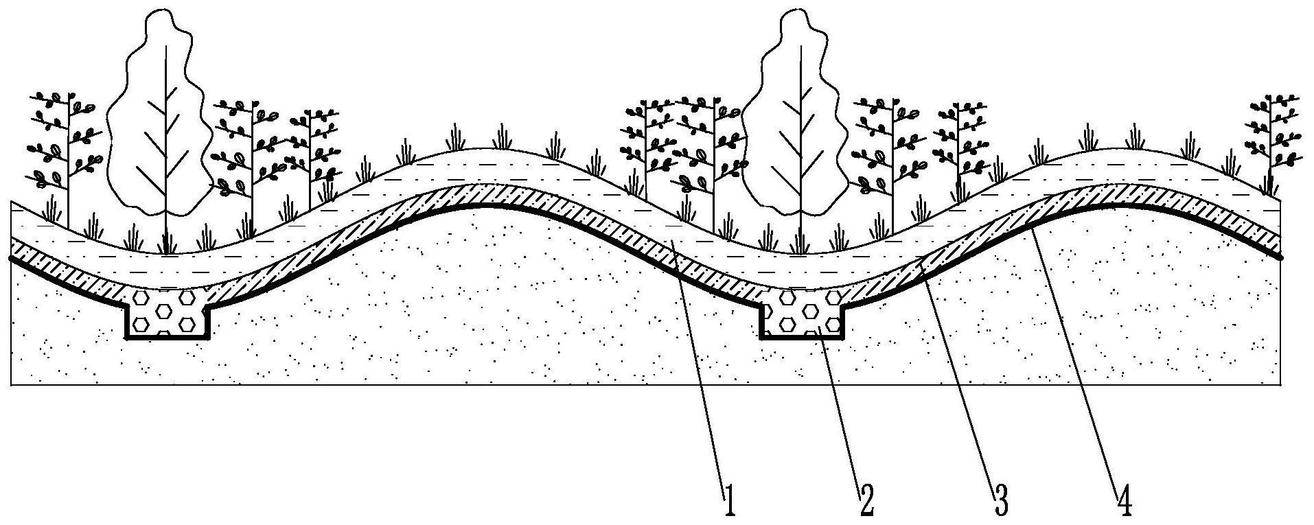 植物群落效果图手绘图片