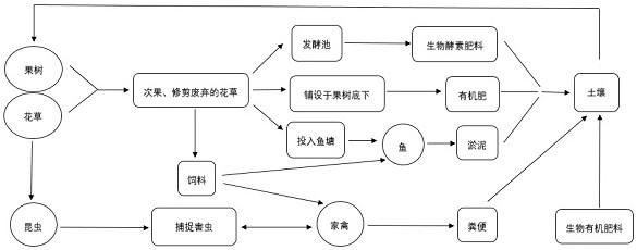 种零农药的生态循环果树种植方法,包括以下环节:(1)进行生态系统修复