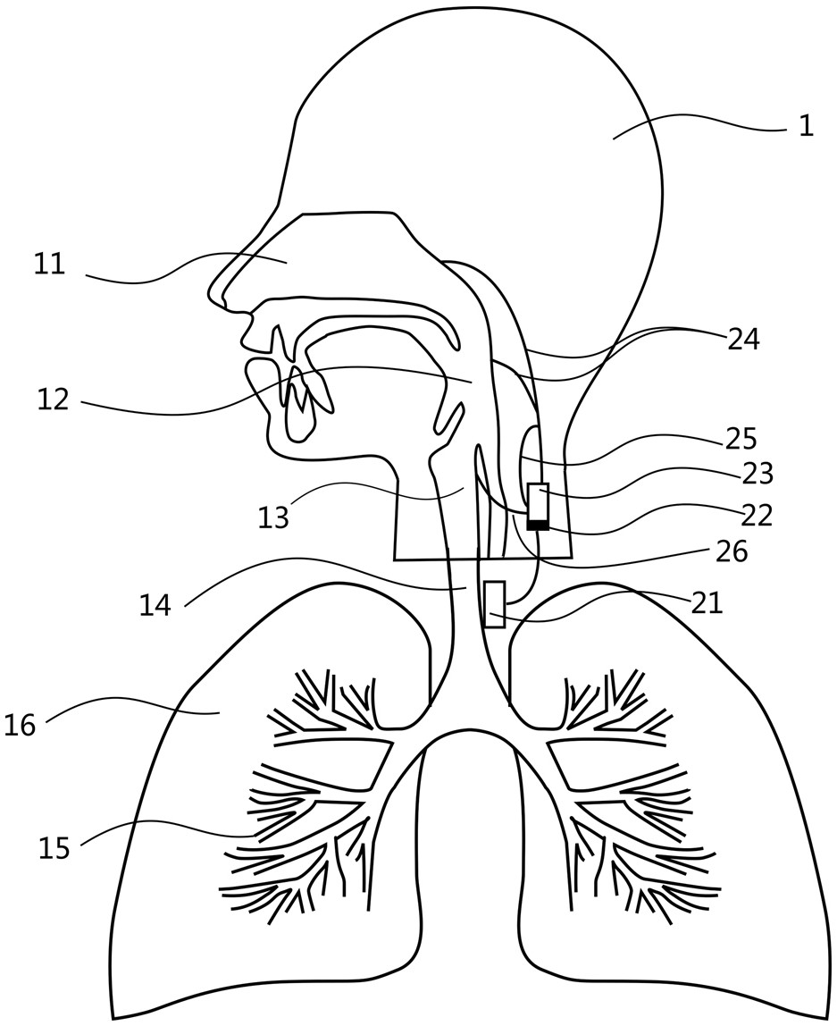 呼吸系统简笔画 儿童图片