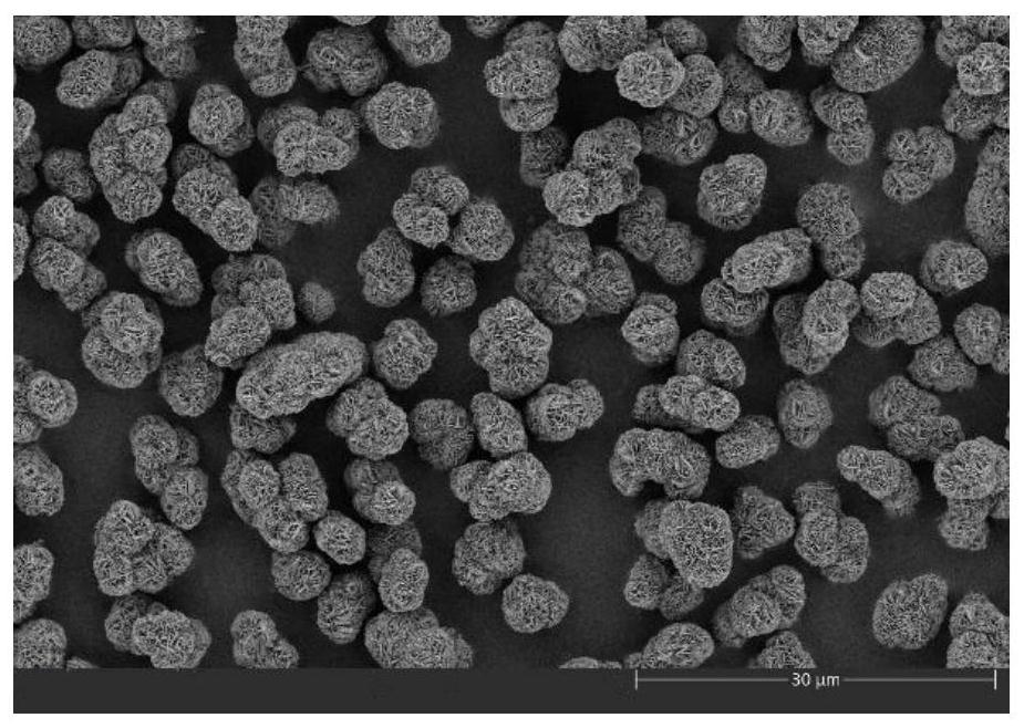 利用废磷酸铁锂正极粉提锂渣制备磷酸铁的方法和应用-爱企查