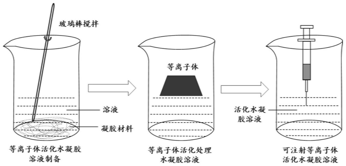 一种可注射型等离子体活化水凝胶及其制备方法-爱企查