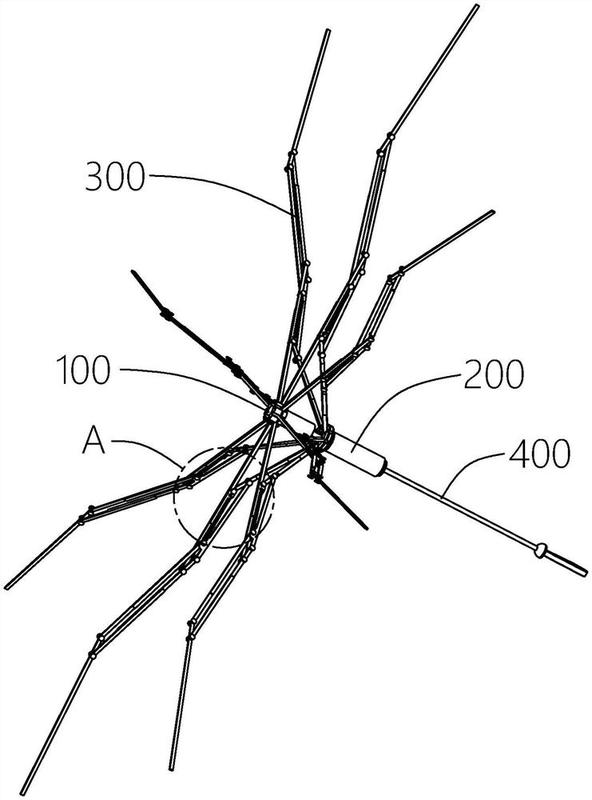伞骨架的结构知识图解图片