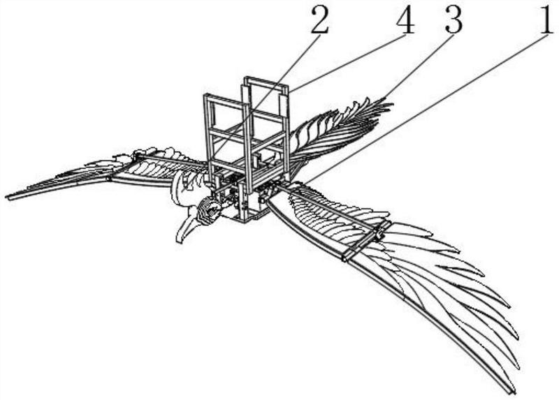 鸟翅膀机械运动简图图片