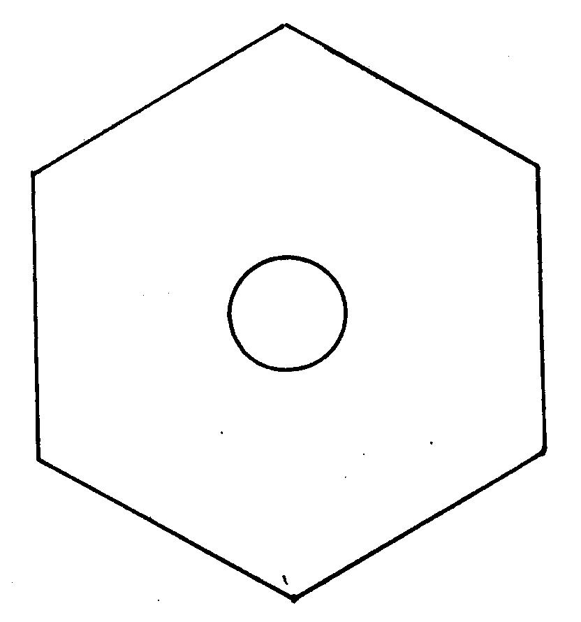 食品容器(正六角形)