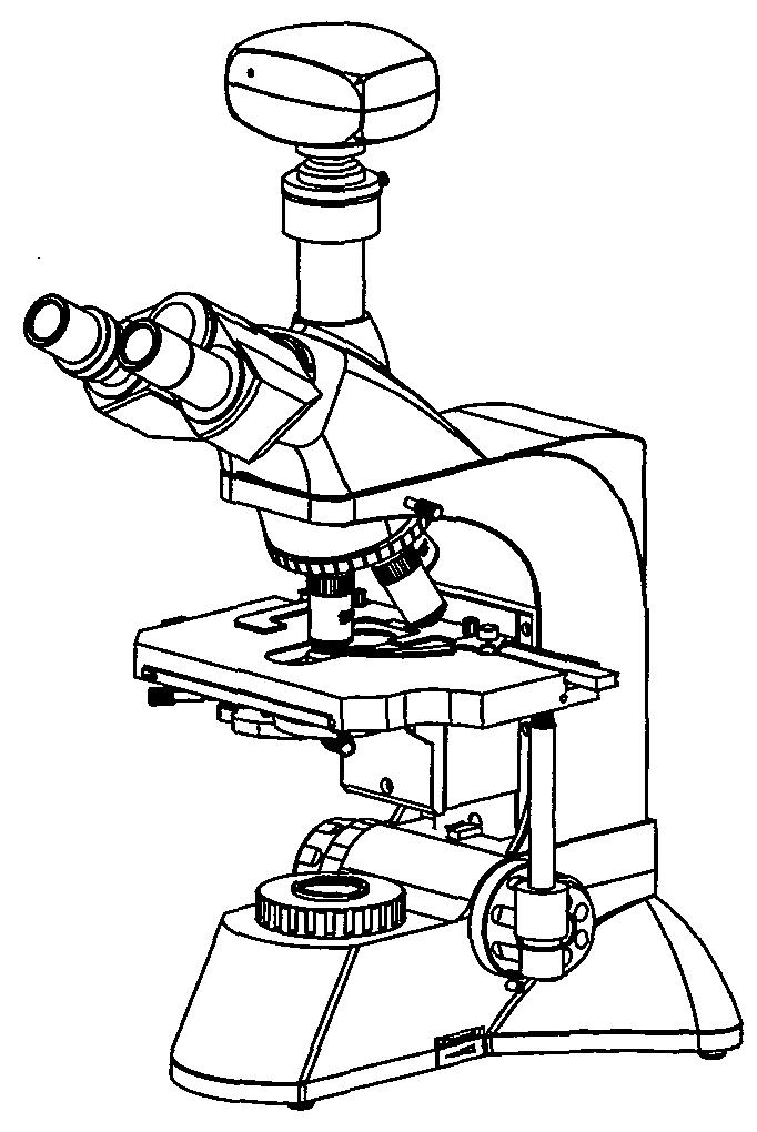 列文虎克显微镜简笔画图片
