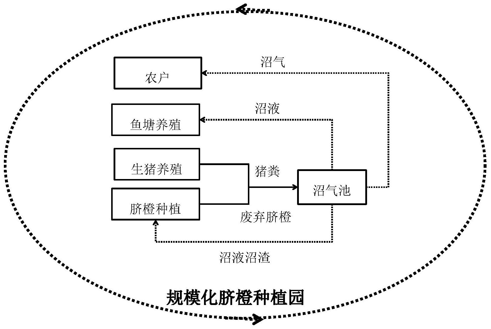 一种基于"果-猪-沼-果-渔"原位闭路消化处理废弃脐橙的方法-爱企查