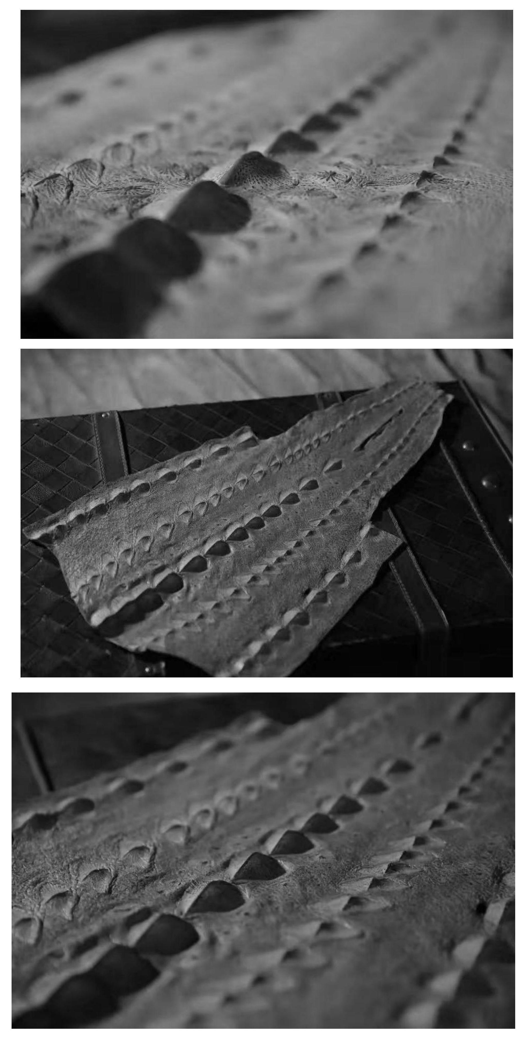 一种俄罗斯鲟鱼皮皮革加工方法-爱企查