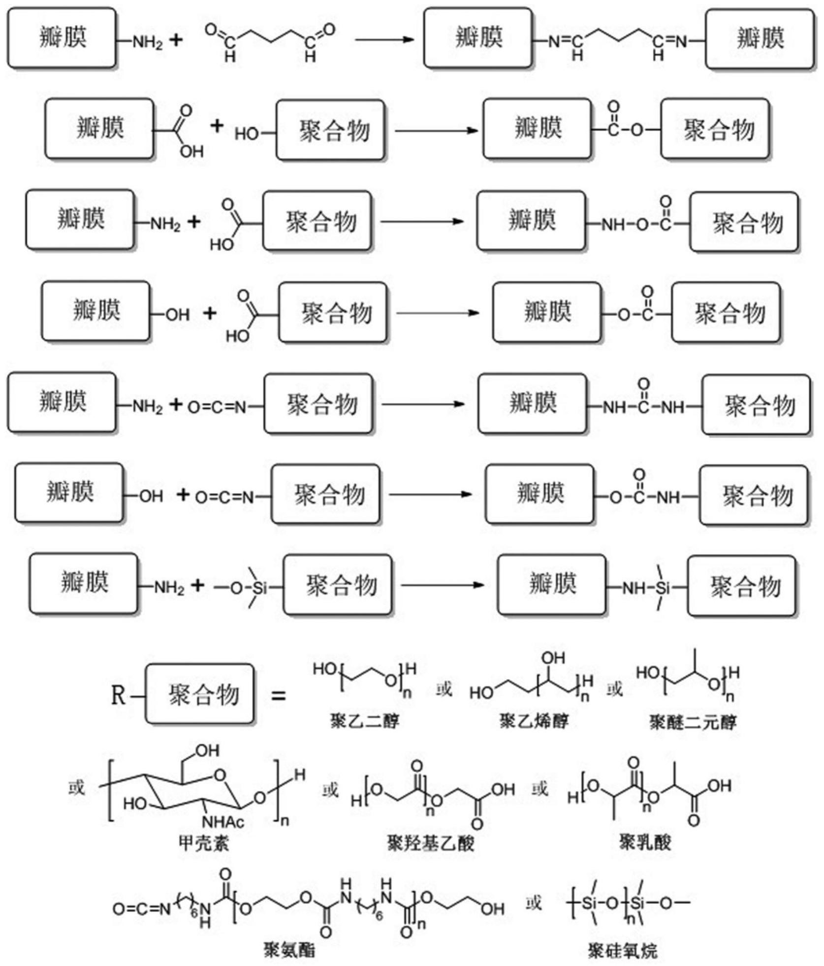 戊二醛交联法图片