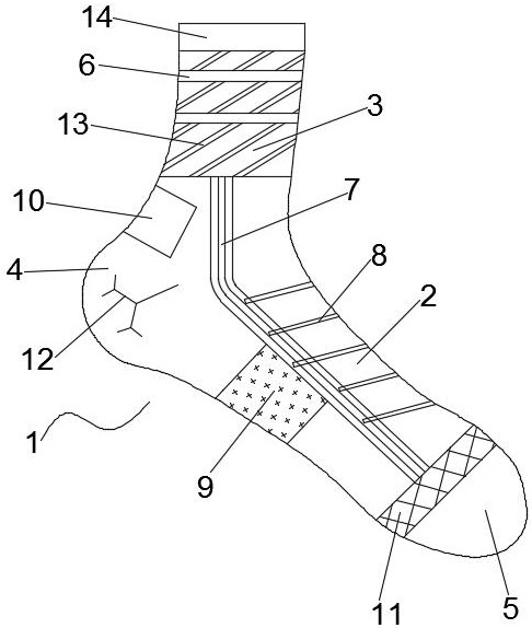 一种多功能运动袜-爱企查