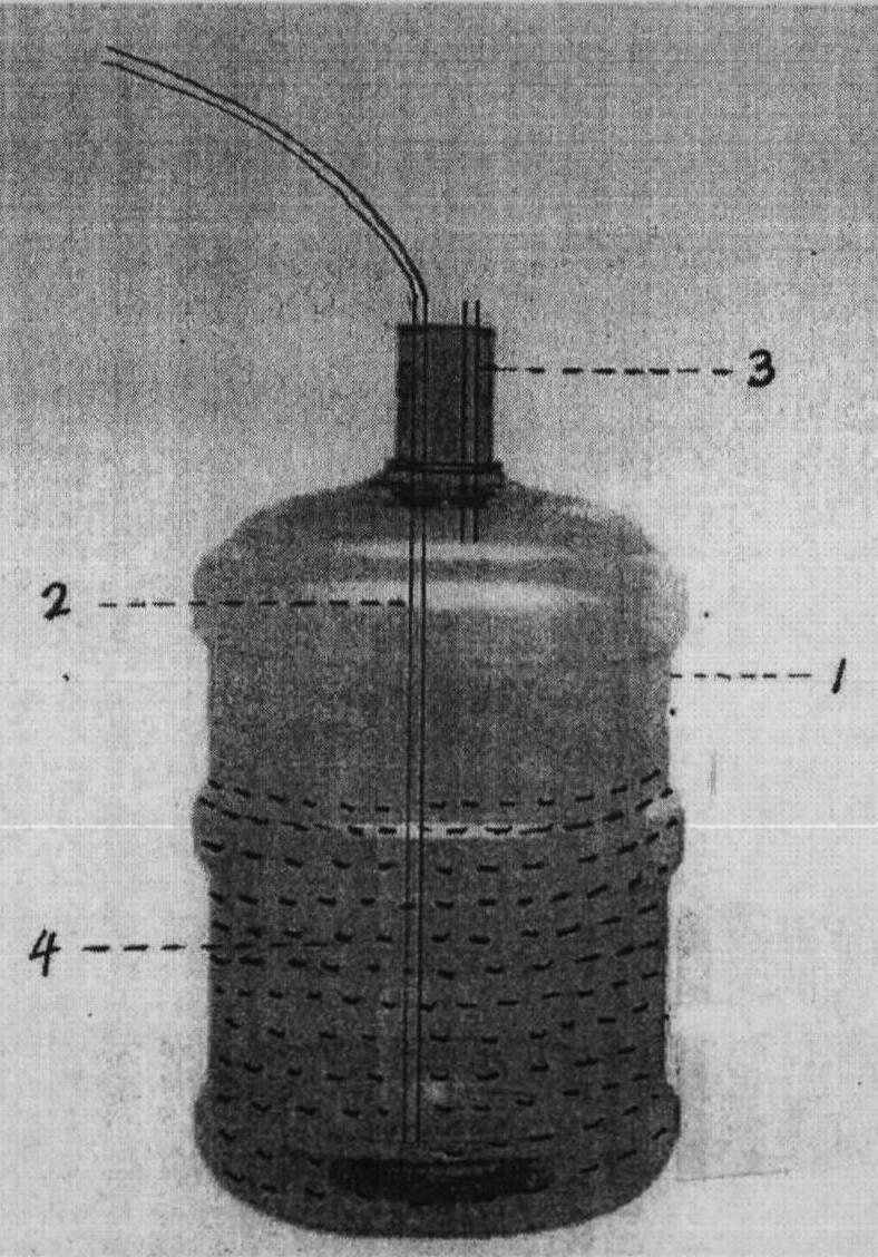 波吉卵囊藻高密度培养方法及藻细胞收集方法
