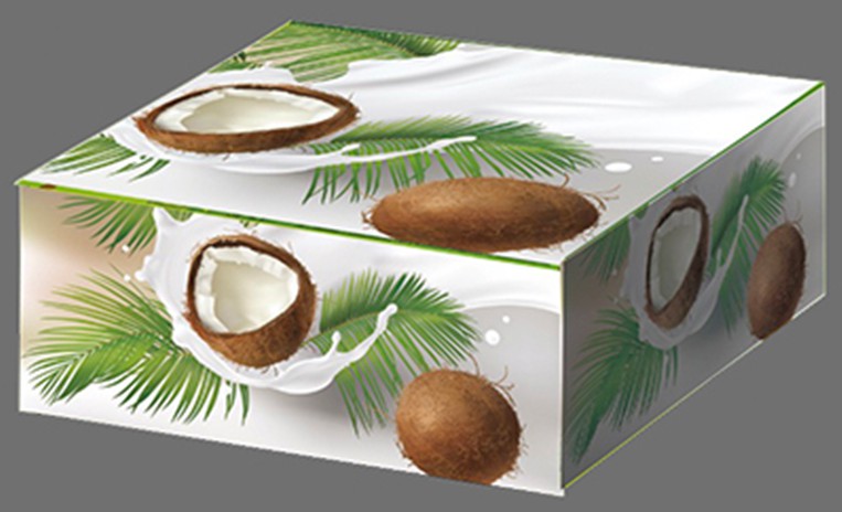包装盒(椰子)-爱企查