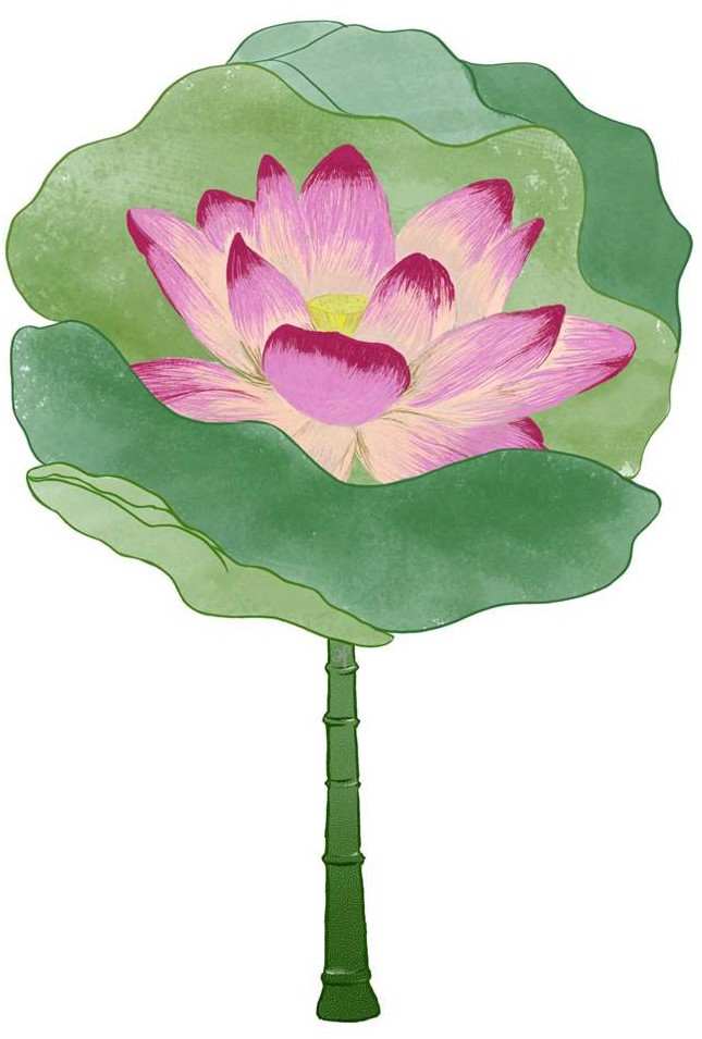 扇子(荷叶1)-爱企查