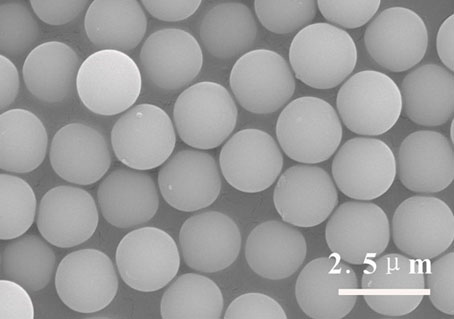 其以无孔硅胶微球为核,利用十八烷基三氯硅烷对其进行表面疏水改性