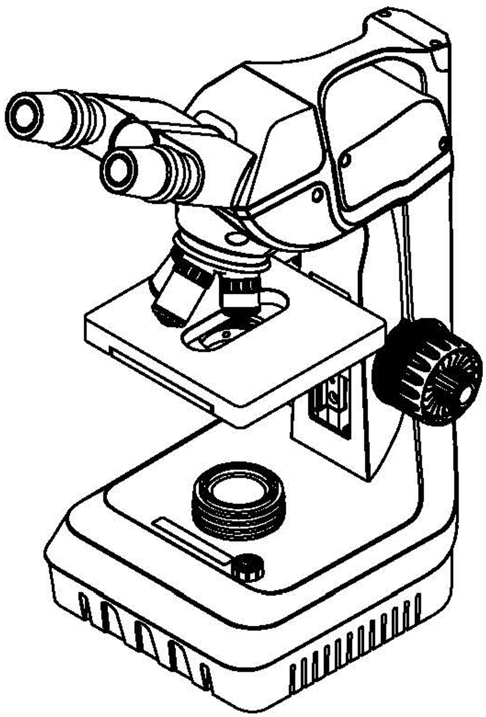 显微镜简笔画图片大全图片