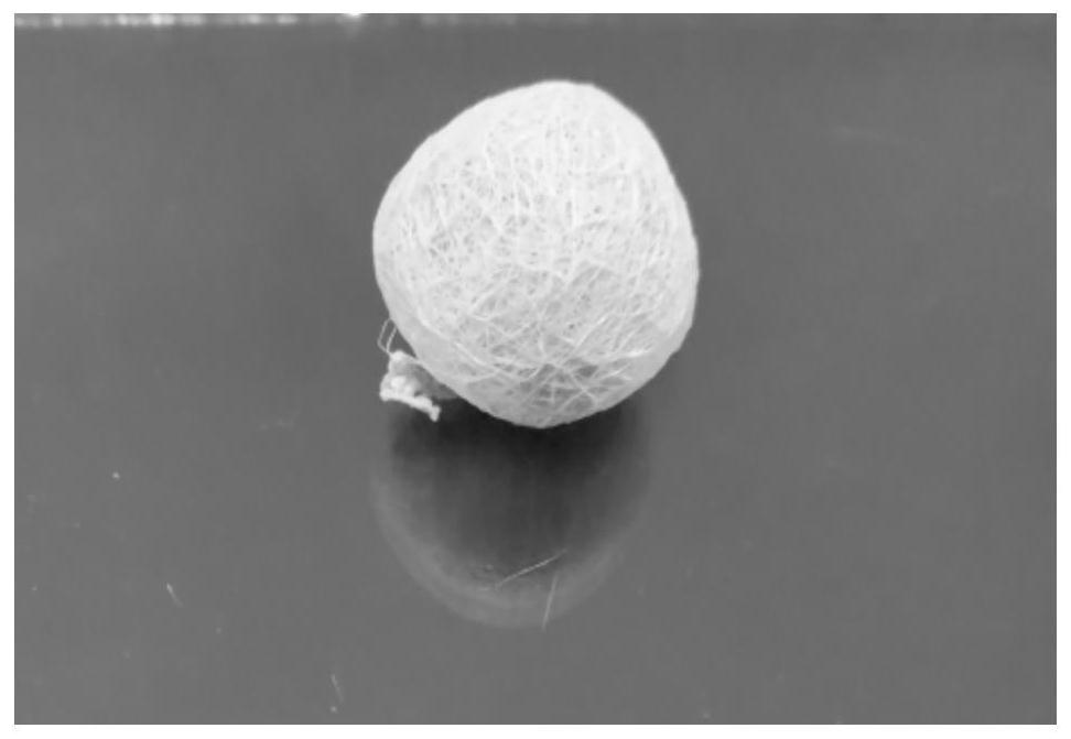 一种生物基杜仲胶弹性纤维和纤维膜及其制备方法与应用