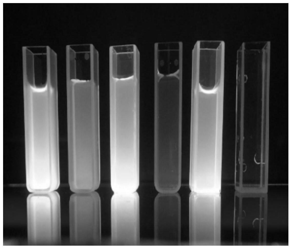一种不同荧光性生物质碳量子点纳米微粒制备方法-爱企查