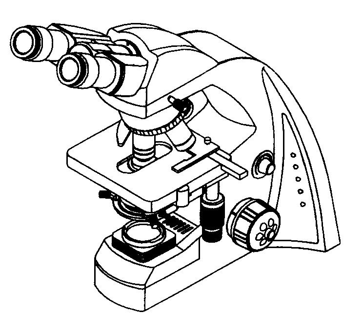 显微镜,简笔画图片