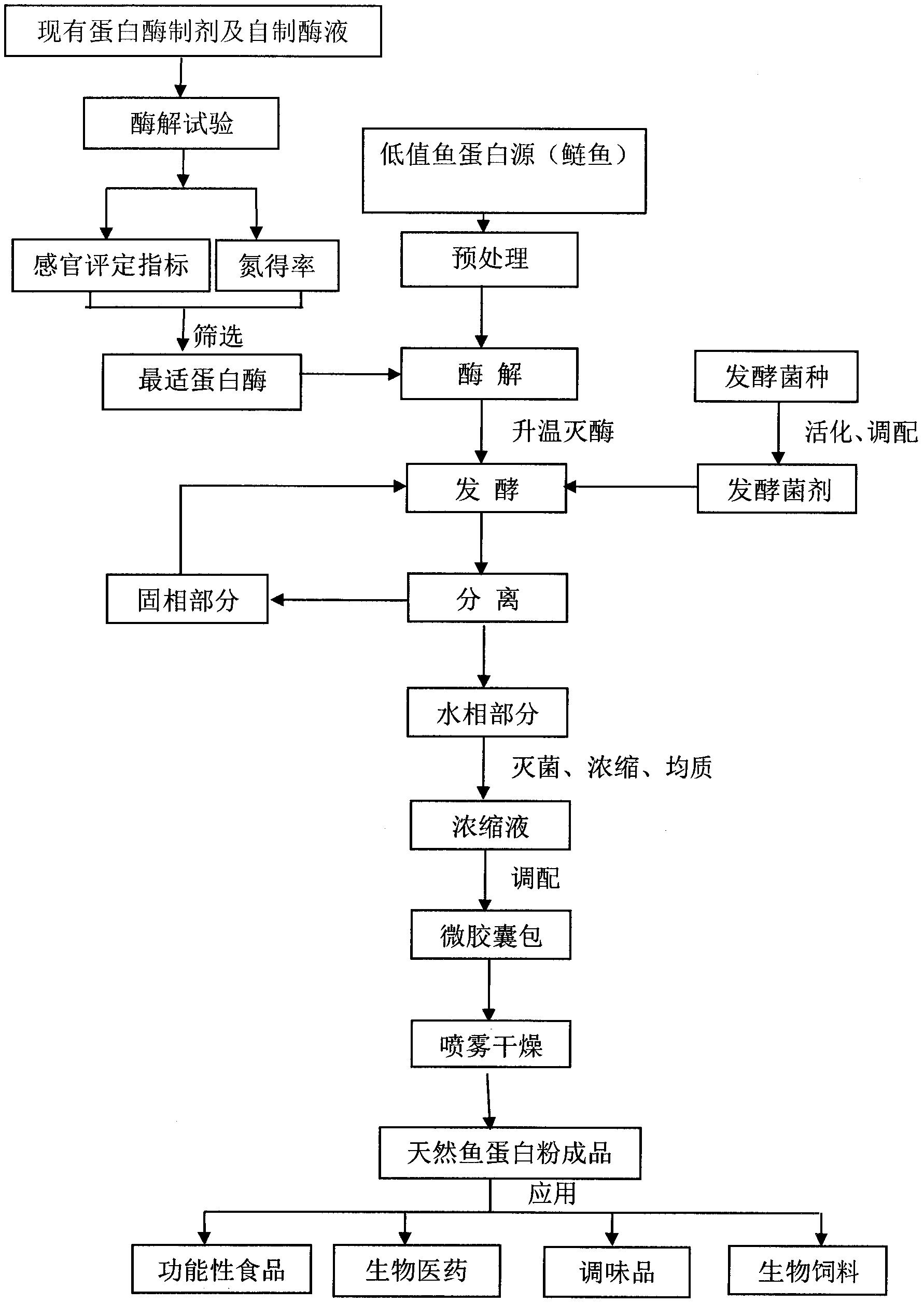 生物发酵制备天然鱼蛋白粉的生产工艺