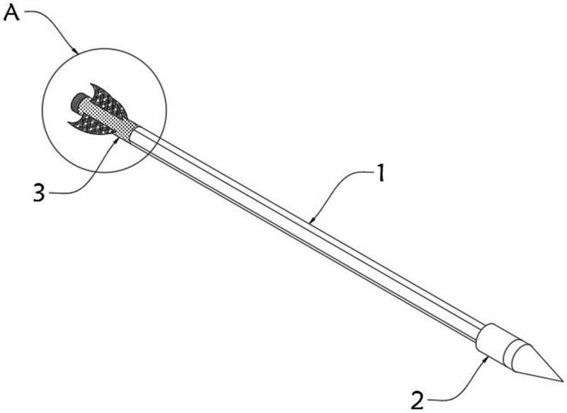 羽箭的结构图解图片
