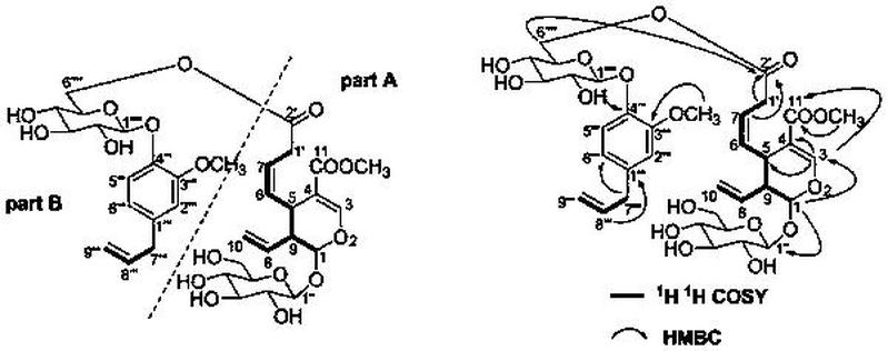 一种环烯醚萜苷类化合物及其制备方法和应用-爱企查