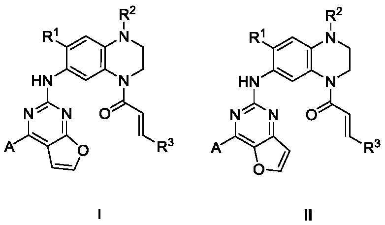 及具有如式(i和ii)的结构,是一类含有呋喃并嘧啶的双芳香环