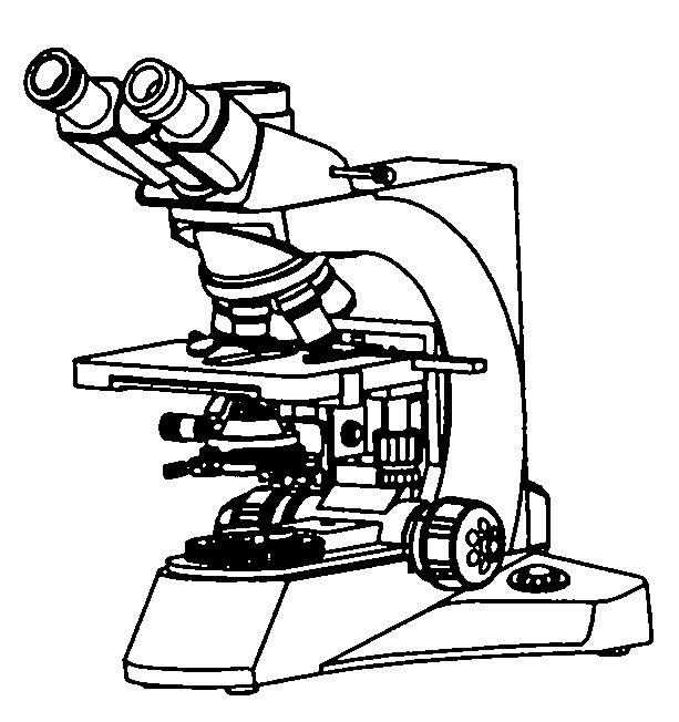 显微镜简笔画图片