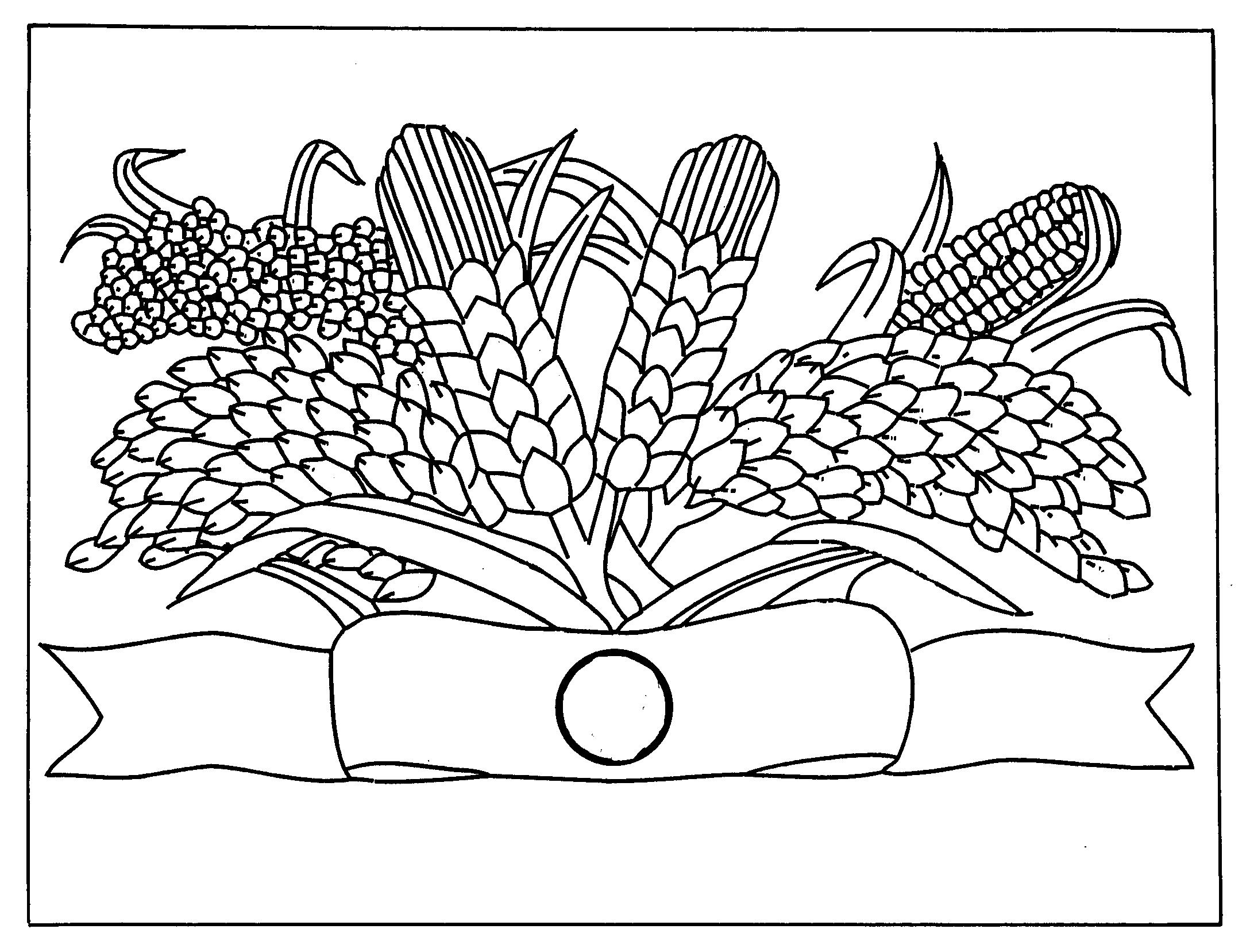 五粮液手绘图片图片