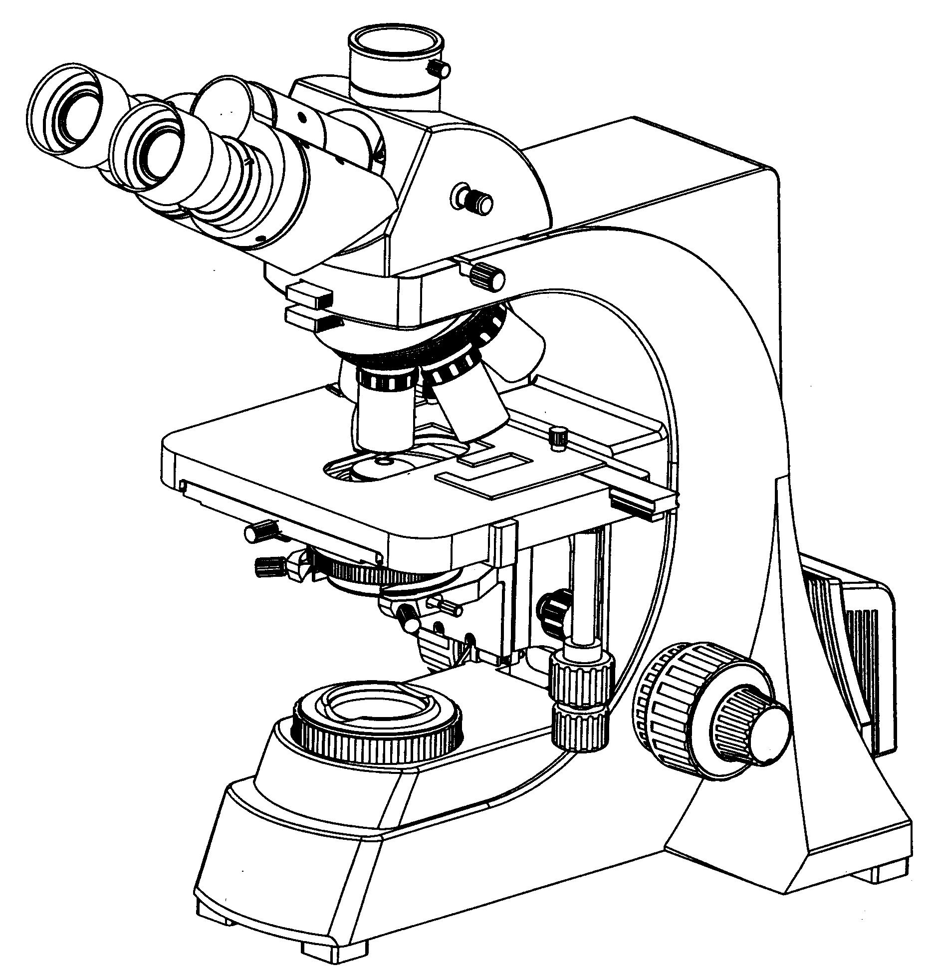 显微镜示意图怎么画图片